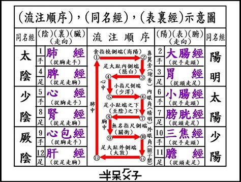 十二經絡口訣|十二經絡循行順序口訣，巧記十二經絡，5分鐘就背會。